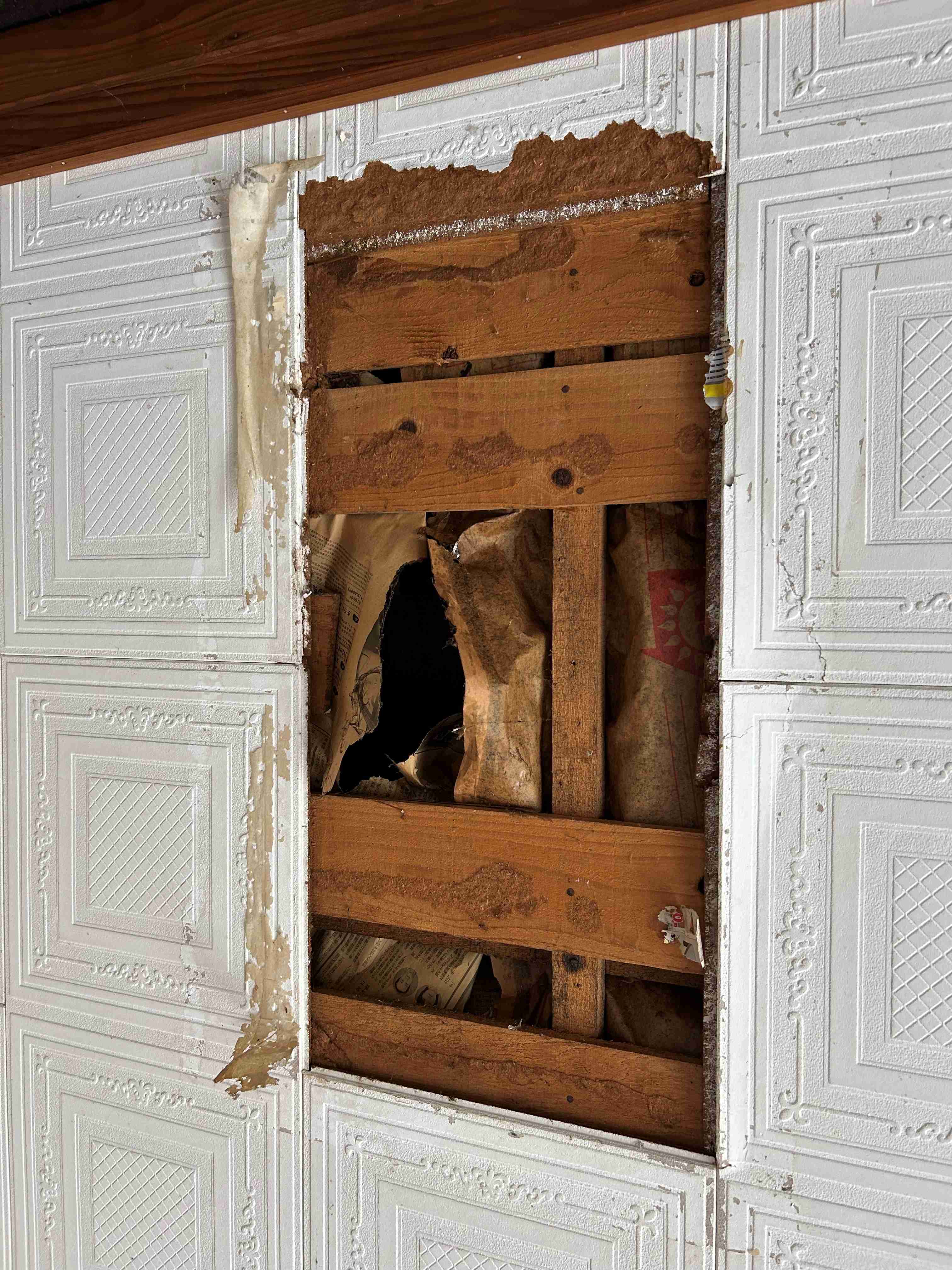 物件詳細画像26