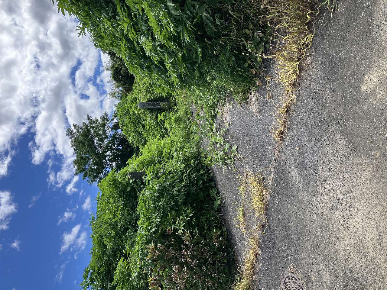 物件詳細画像3