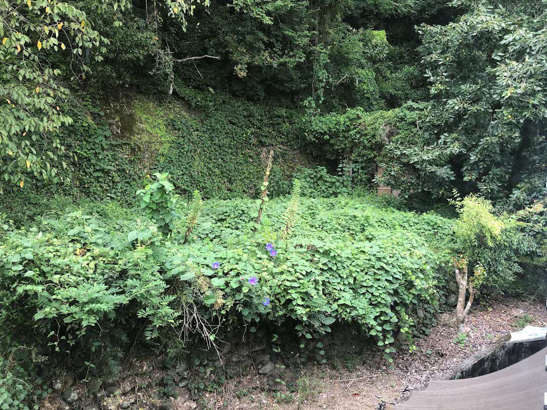 物件詳細画像15