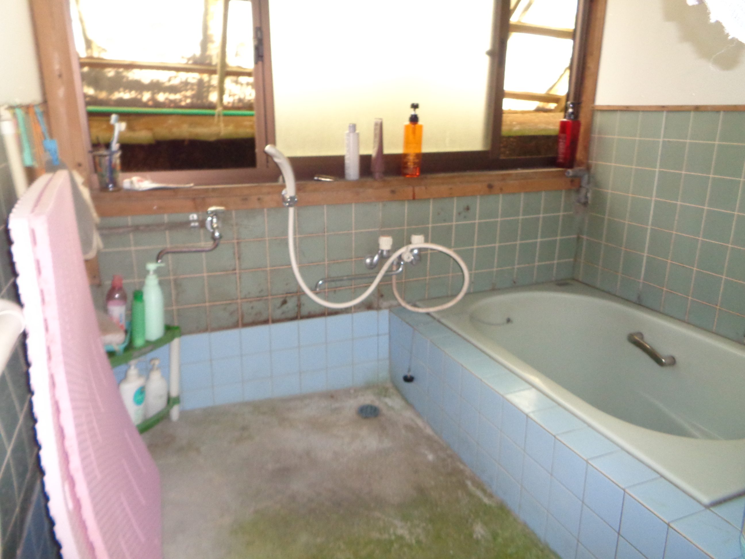 detached 熊本県 八代市 東陽町河俣