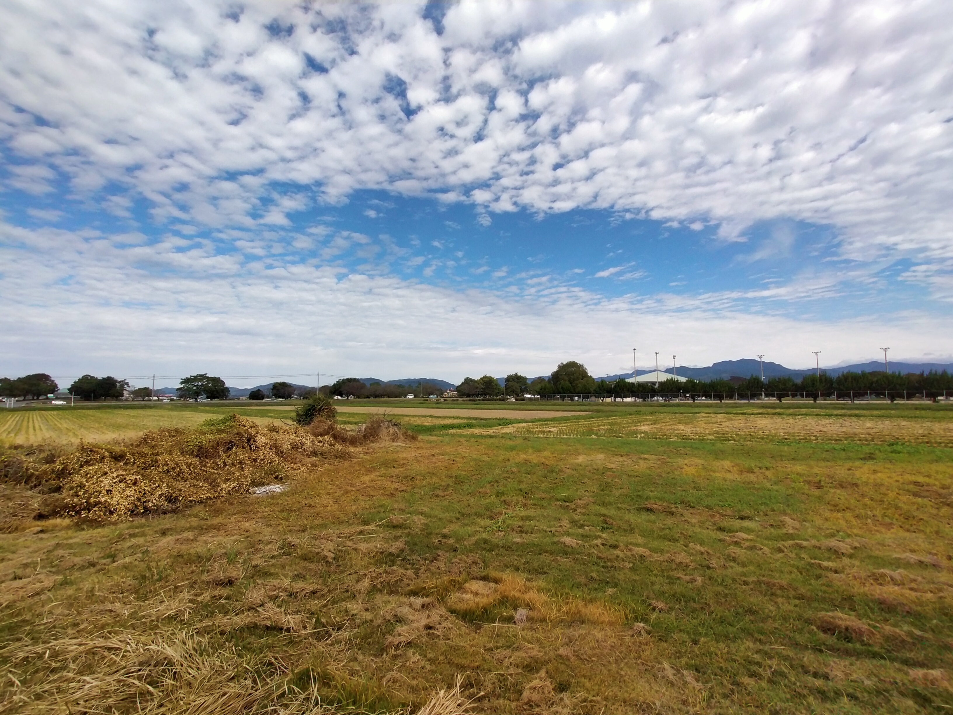 物件詳細画像21