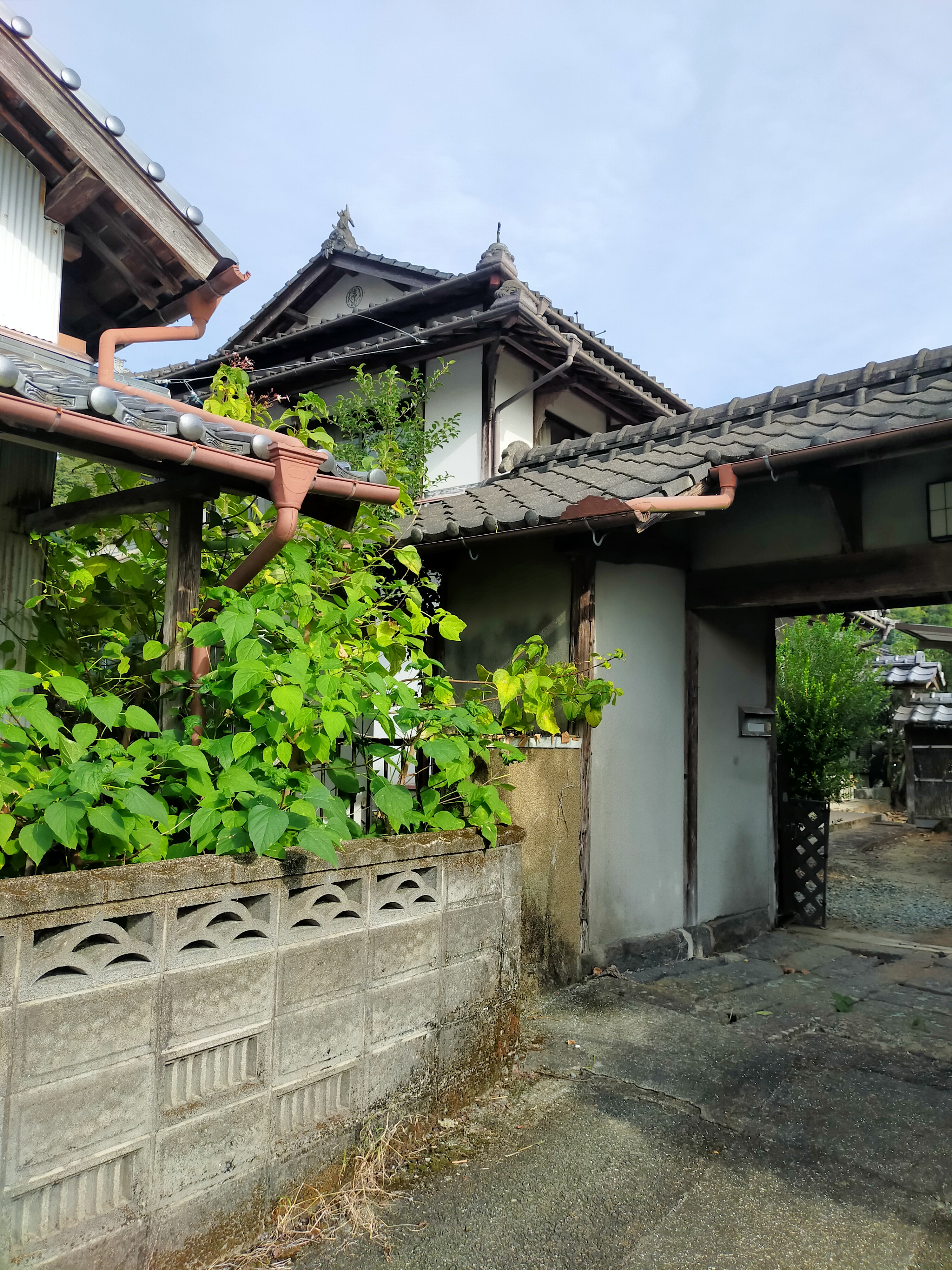 物件詳細画像33