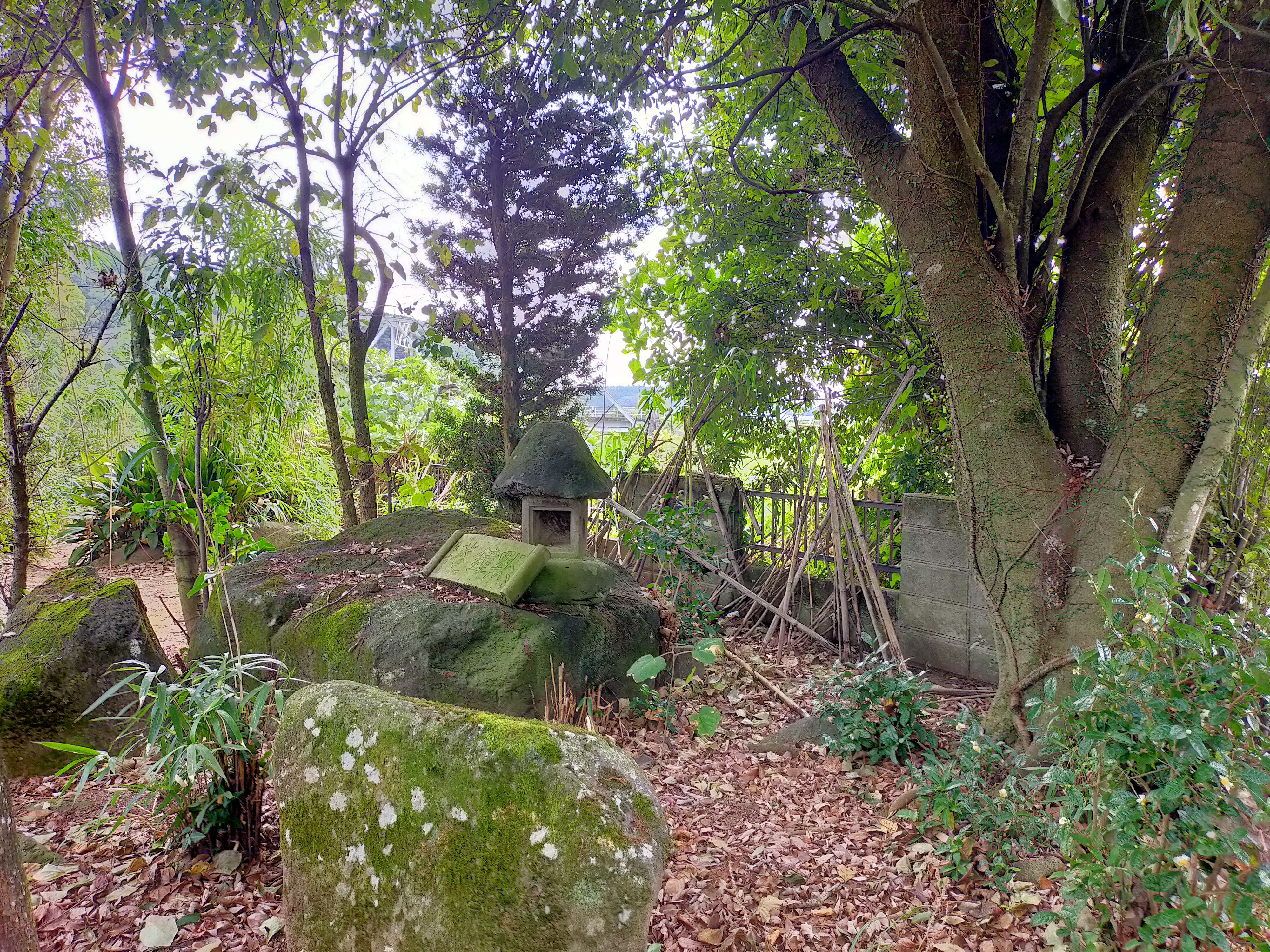 物件詳細画像28