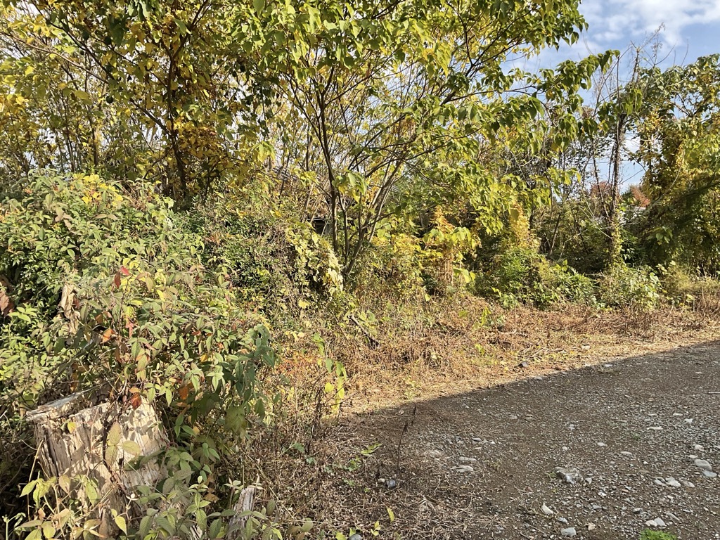  熊本県 甲佐町 府領