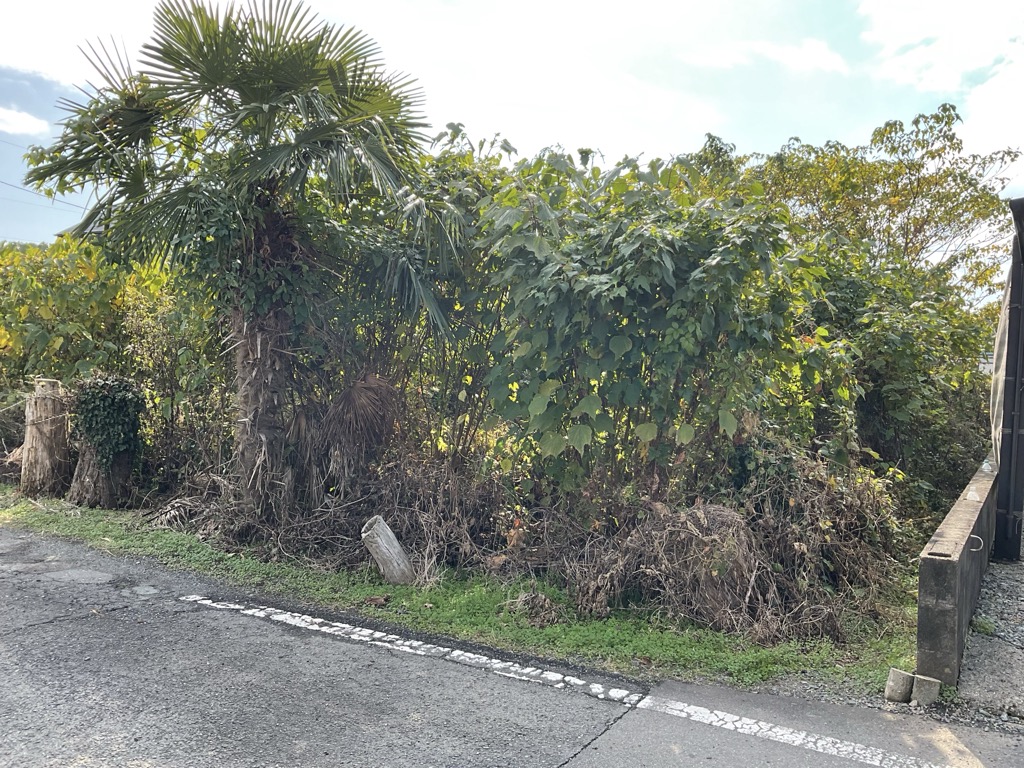  熊本県 甲佐町 府領