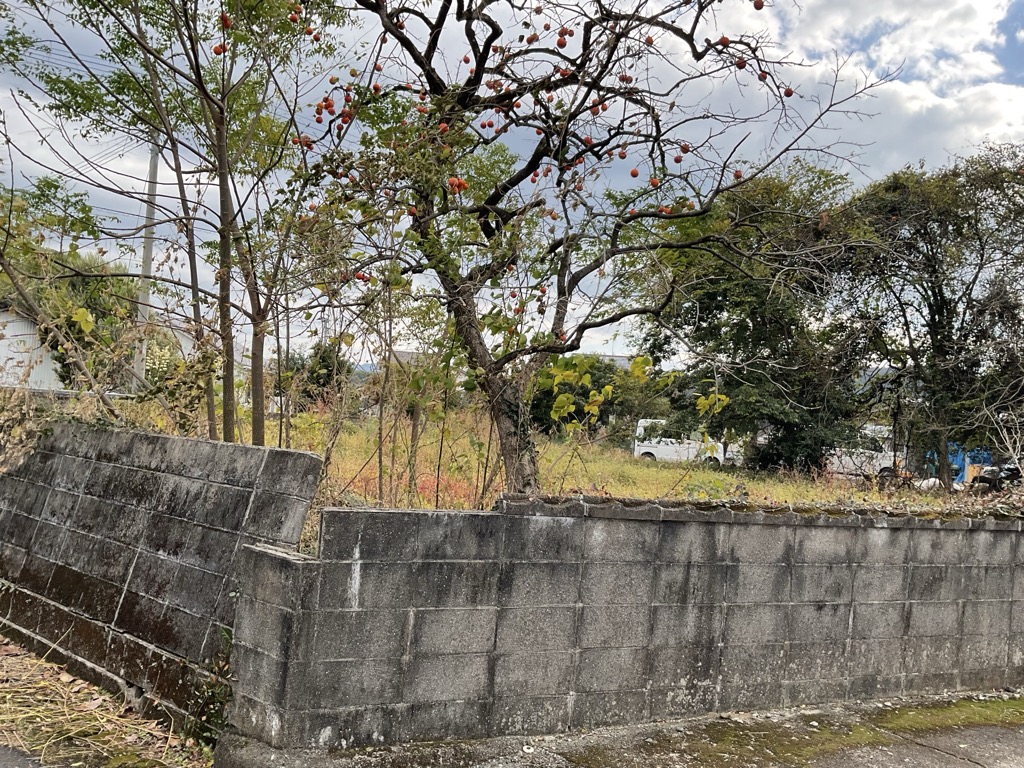  熊本県 甲佐町 芝原