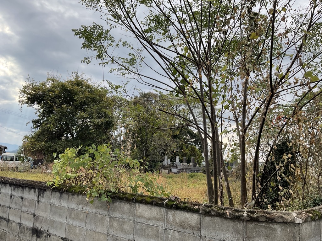  熊本県 甲佐町 芝原