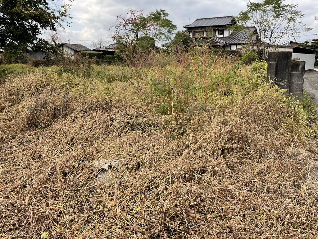  熊本県 甲佐町 芝原