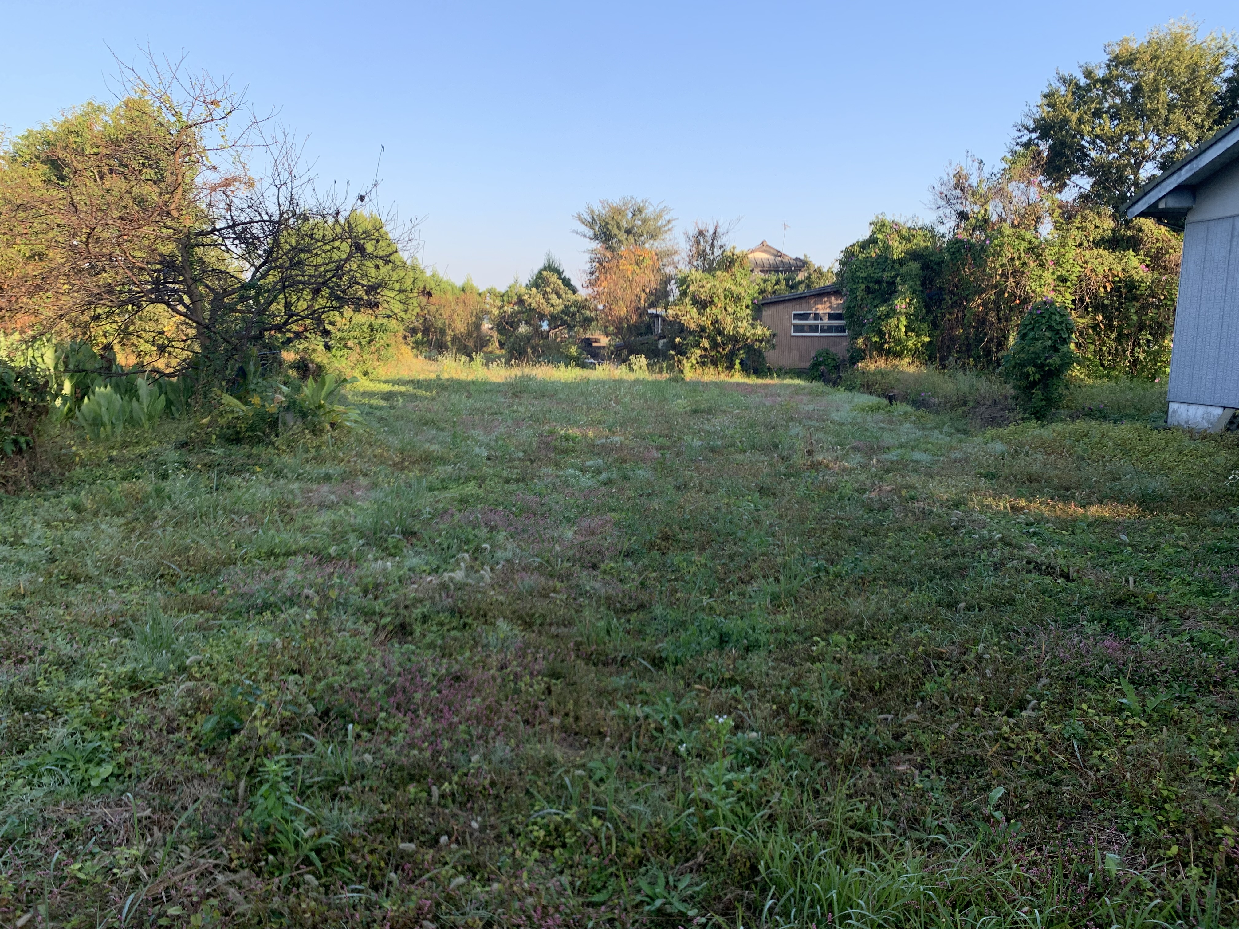 物件詳細画像10