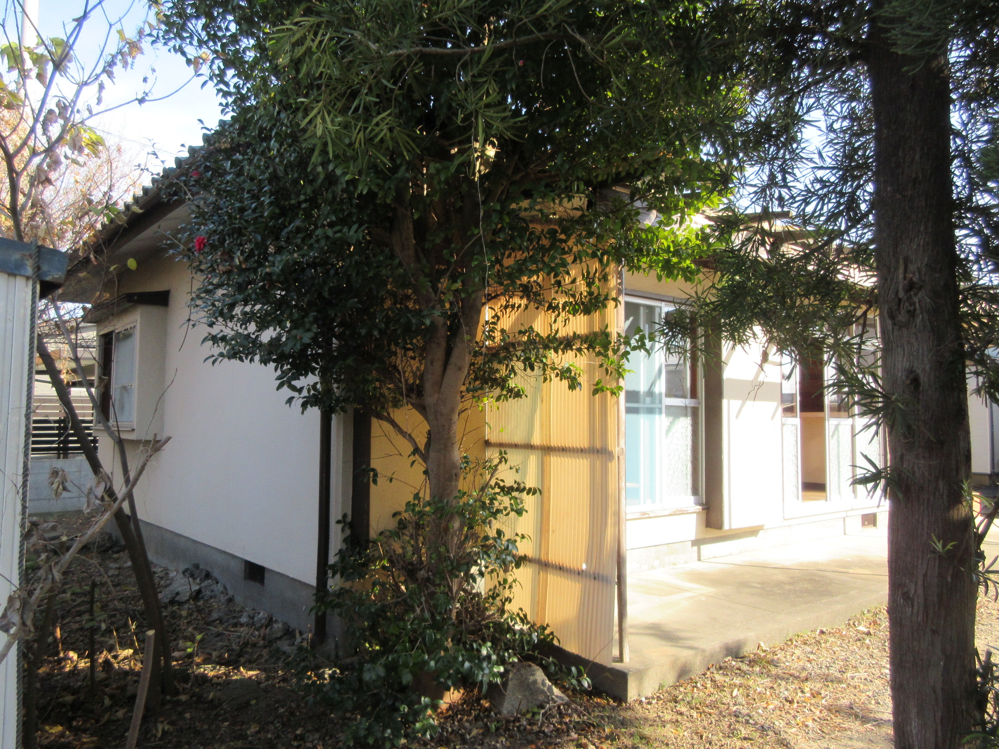 物件詳細画像20