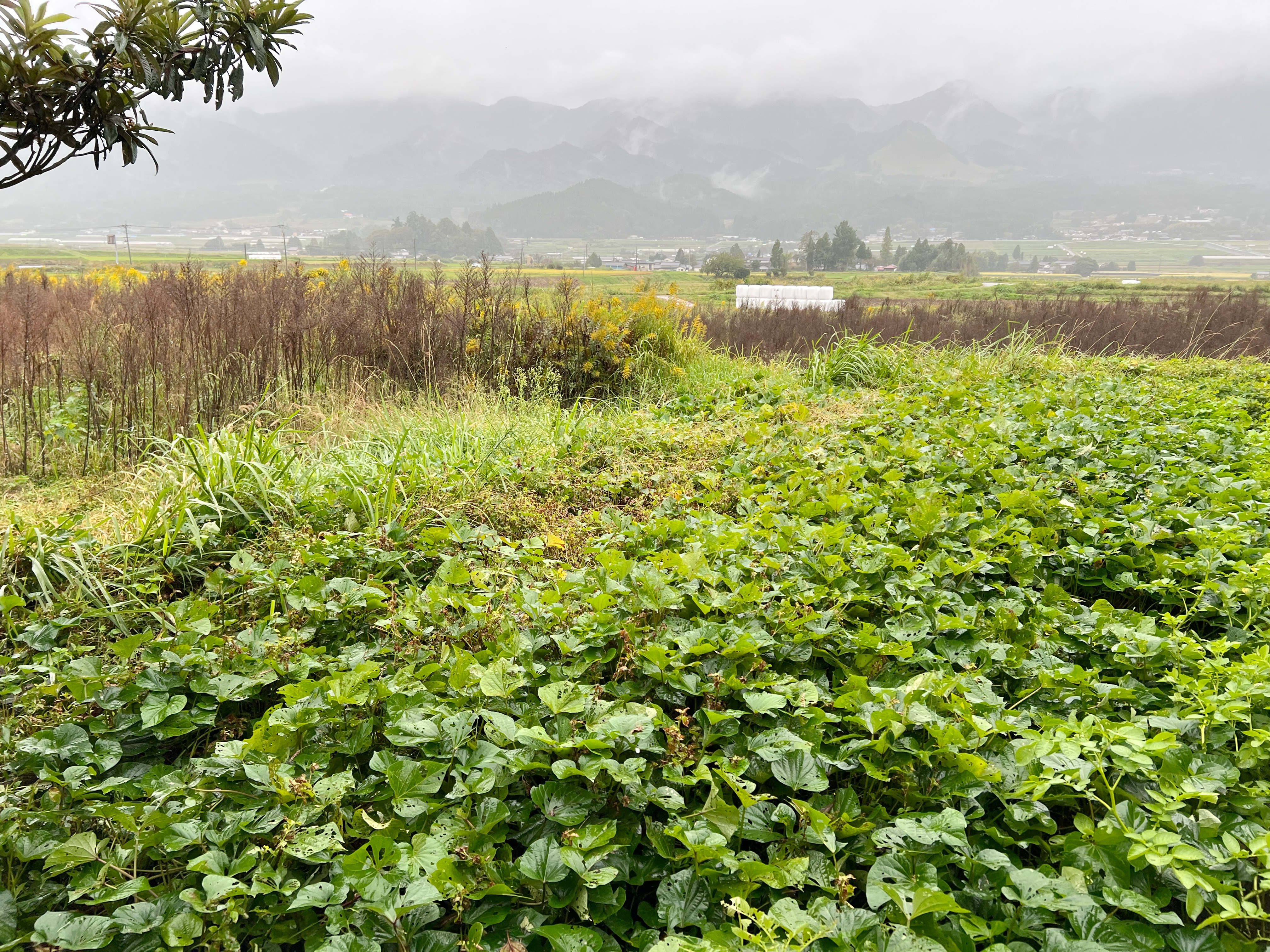 物件詳細画像19