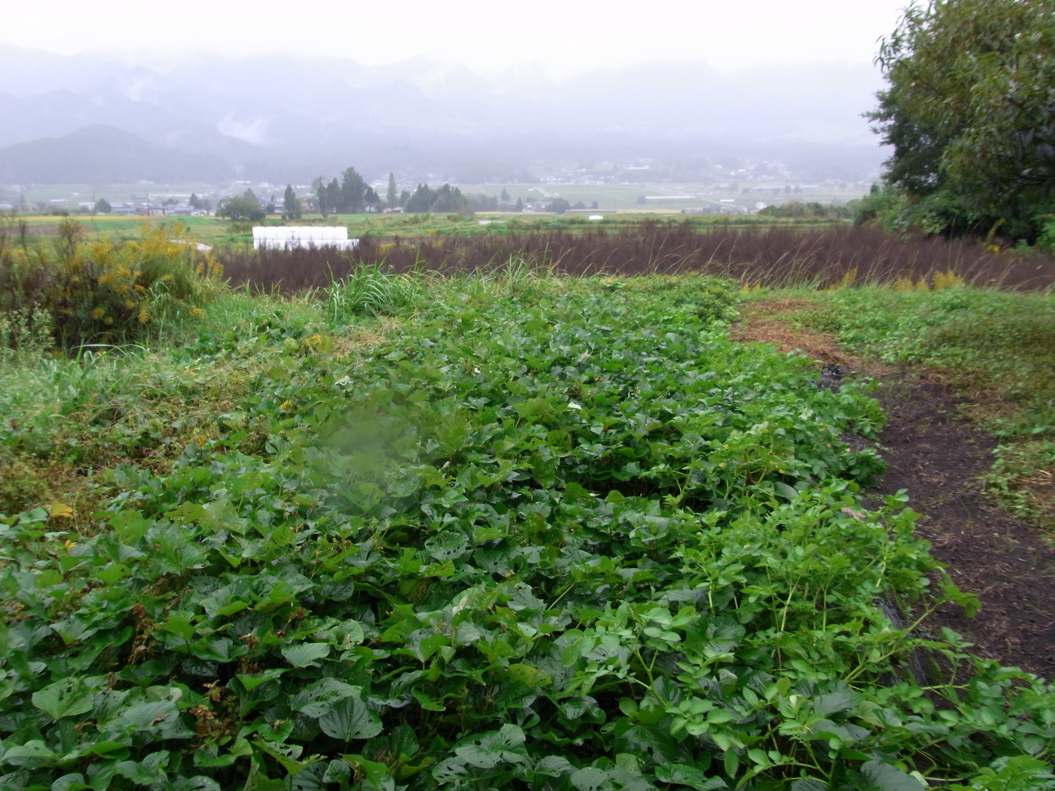 物件詳細画像20