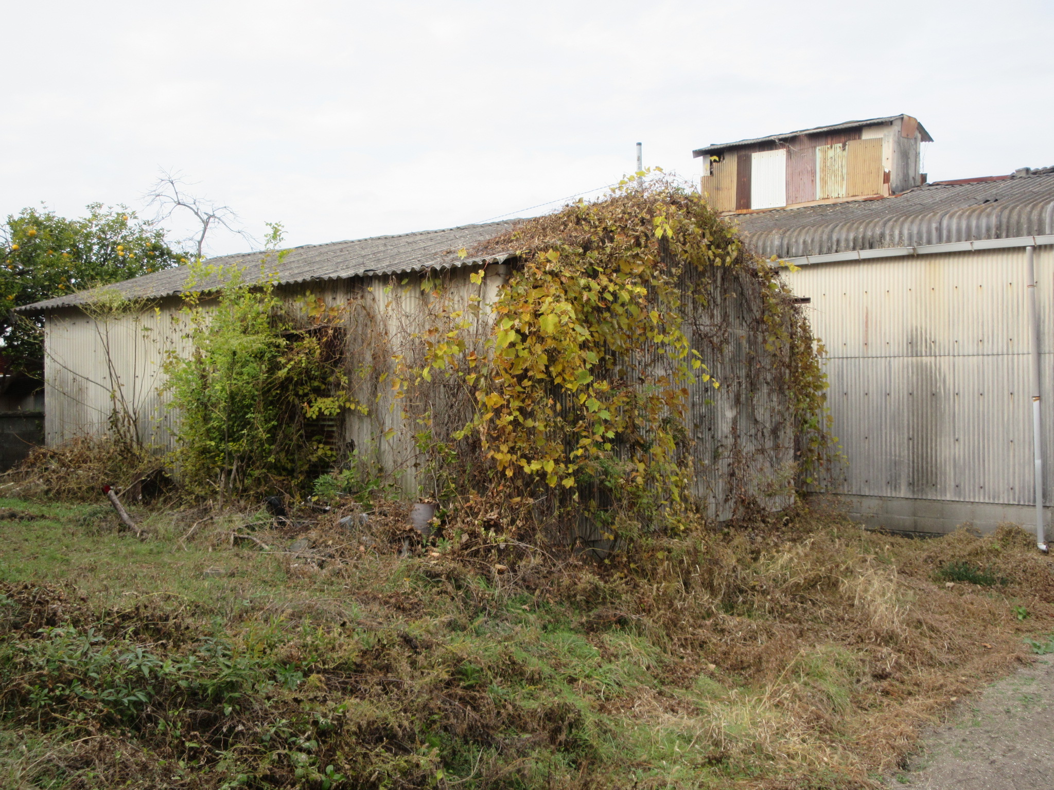 物件詳細画像32