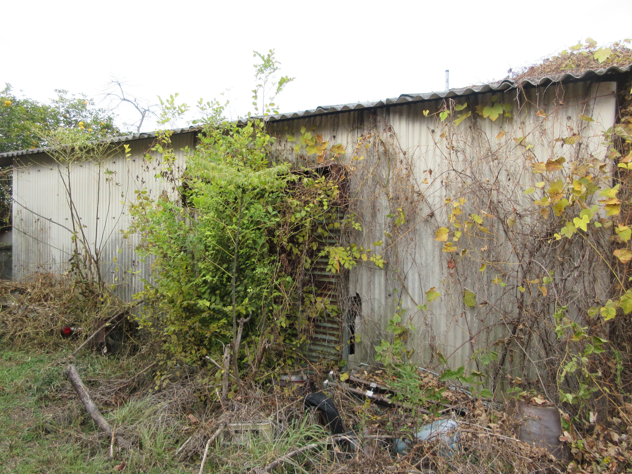 物件詳細画像31