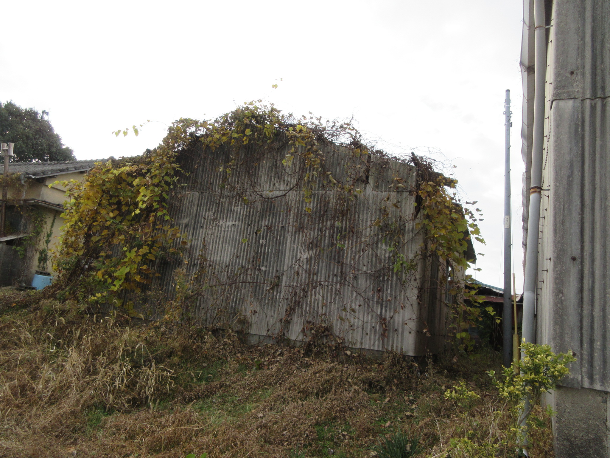 物件詳細画像33