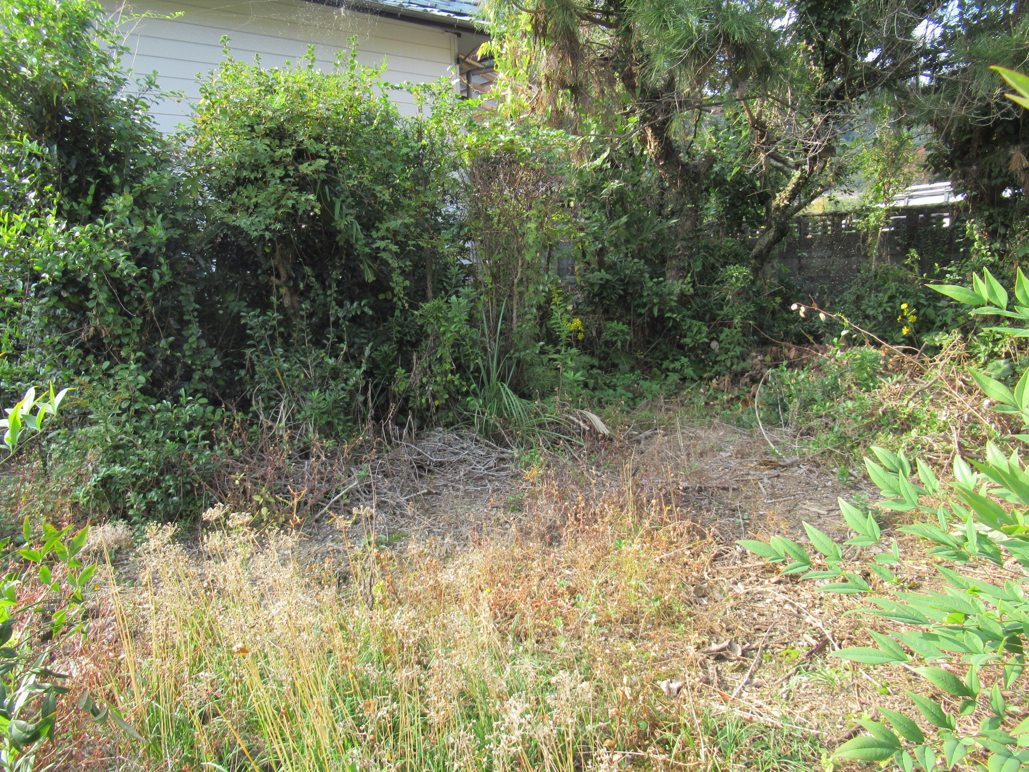 物件詳細画像16