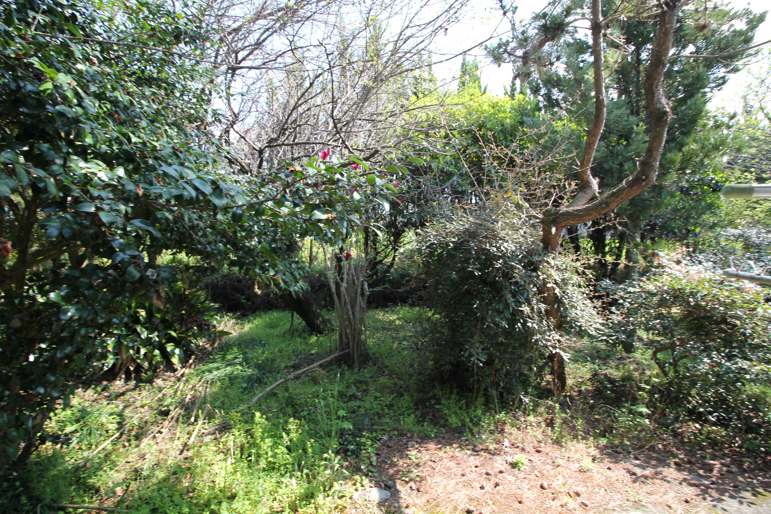 物件詳細画像19