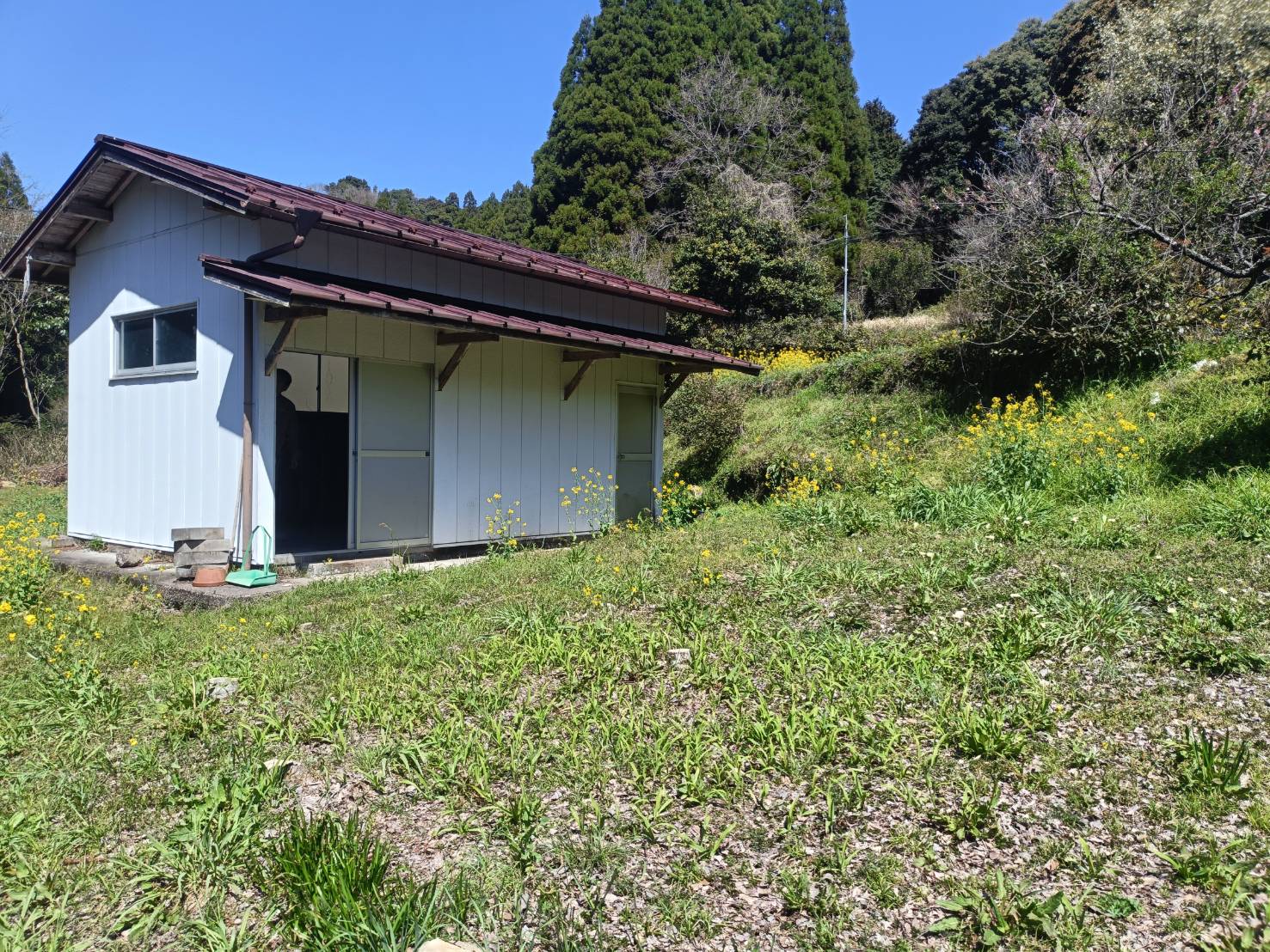 物件詳細画像29