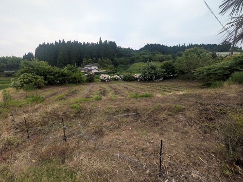 物件詳細画像12